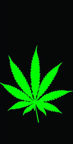 Marijuana   Cannabis W Black Background