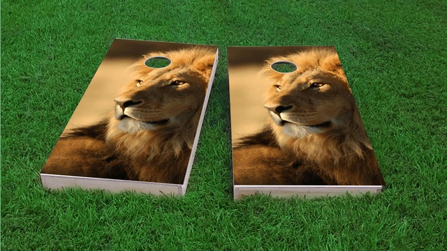 Laying Lion Themed Custom Cornhole Board Design
