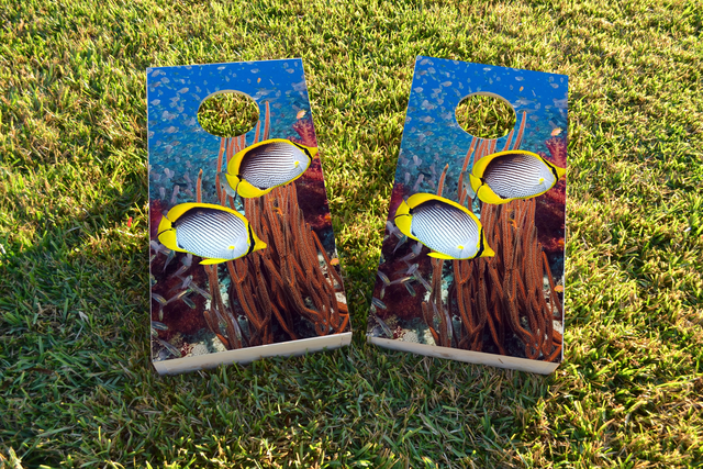 Tropical Fish Swimming Themed Custom Cornhole Board Design