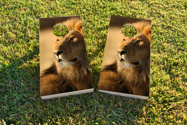 Laying Lion Themed Custom Cornhole Board Design