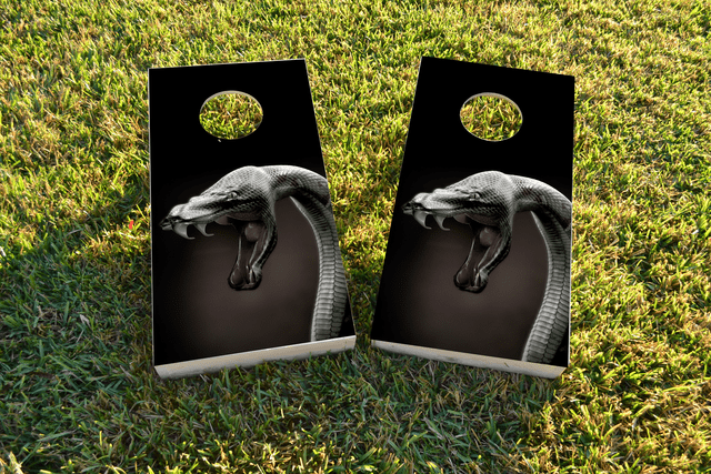 Snake in the Grass Themed Custom Cornhole Board Design