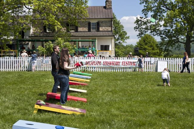 Customizing Your Cornhole Boards - Endless Options for Everyone 