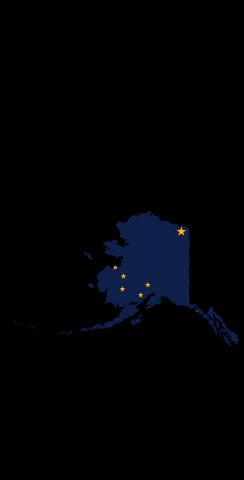 Alaska State Flag Outline (Black Background) Themed Custom Cornhole Board Design