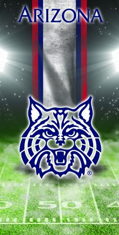 NCAA Field (Arizona Wildcats) Themed Custom Cornhole Board Design