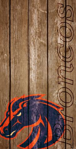 NCAA Wood Slat (Boise State Broncos) Themed Custom Cornhole Board Design