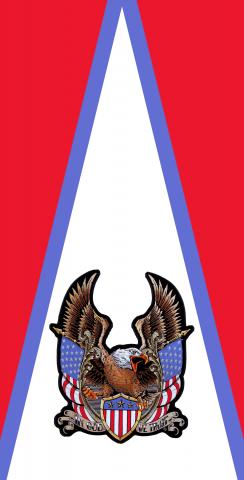 Bald Eagle - In God We Trust Themed Custom Cornhole Board Design