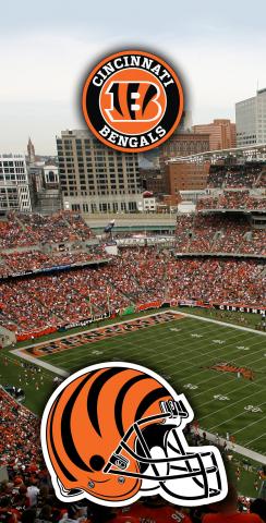 NFL Stadium (Cincinnati Bengals) Themed Custom Cornhole Board Design