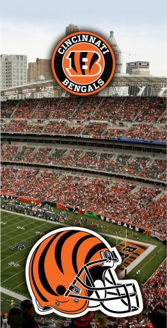 NFL Stadium (Cincinnati Bengals) Themed Custom Cornhole Board Design