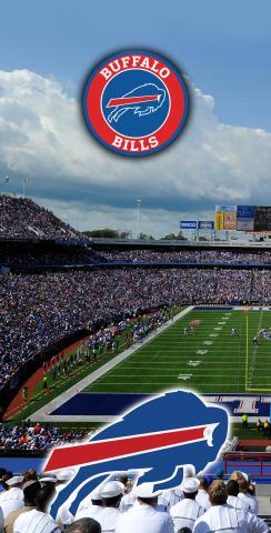NFL Stadium (Buffalo Bills) Themed Custom Cornhole Board Design