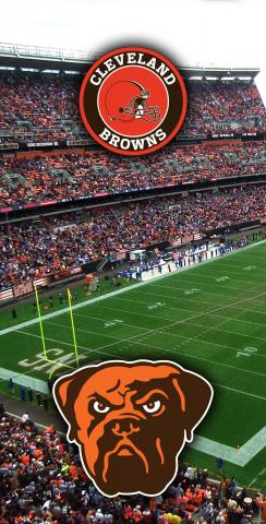 NFL Stadium (Cleveland Browns) Themed Custom Cornhole Board Design