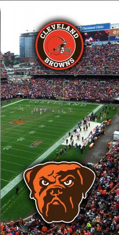 NFL Stadium (Cleveland Browns) Themed Custom Cornhole Board Design