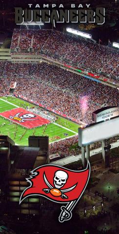 NFL Stadium (Tampa Bay Buccaneers) Themed Custom Cornhole Board Design