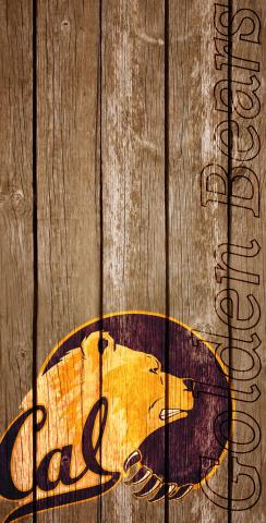 NCAA Wood Slat (California Golden Bears) Themed Custom Cornhole Board Design