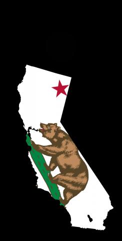  California State Flag Outline (Black Background)  Themed Custom Cornhole Board Design