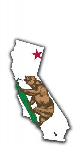 California State Flag Outline (White Background) Themed Custom Cornhole Board Design
