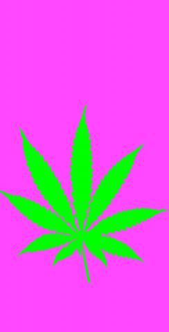 Marijuana / Cannabis w/Hot Pink Background