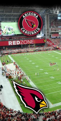 NFL Stadium (Arizona Cardinals) Themed Custom Cornhole Board Design