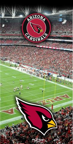 NFL Stadium (Arizona Cardinals) Themed Custom Cornhole Board Design