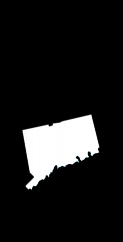 Black Connecticut Themed Custom Cornhole Board Design