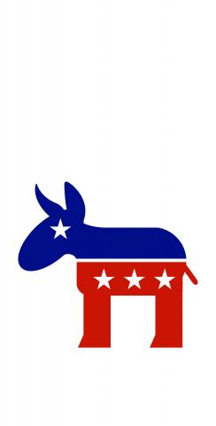 Democratic Donkey Themed Custom Cornhole Board Design
