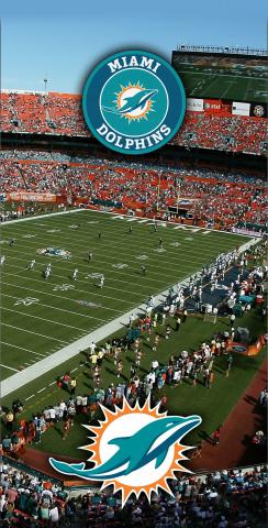 NFL Stadium (Miami Dolphins) Themed Custom Cornhole Board Design