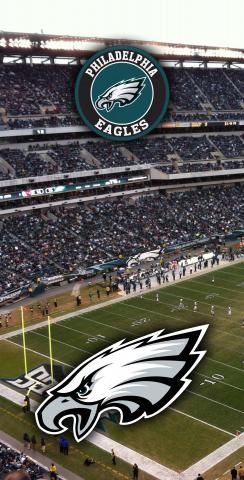 NFL Stadium (Philedelphia Eagles) Themed Custom Cornhole Board Design