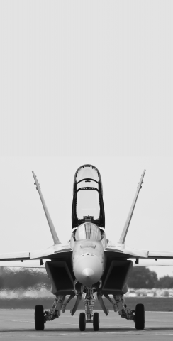 F-18 Hornet Fighter Jet