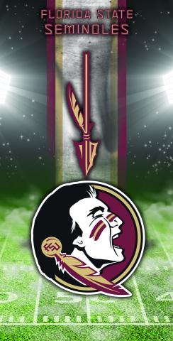 NCAA Field (Florida State Seminoles) Themed Custom Cornhole Board Design