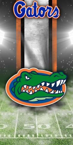 NCAA Field (Florida Gators) Themed Custom Cornhole Board Design