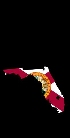 Florida State Flag Outline (Black Background) Themed Custom Cornhole Board Design