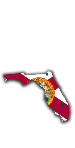 Florida State Flag Outline (White Background) Themed Custom Cornhole Board Design