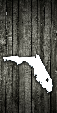 Wood Slat (Florida) Themed Custom Cornhole Board Design