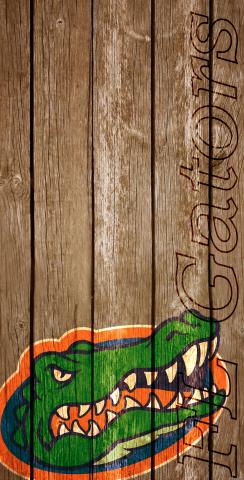 NCAA Wood Slat (Florida Gators) Themed Custom Cornhole Board Design