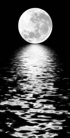 Full Moon Over The Water Themed Custom Cornhole Board Design