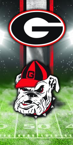 NCAA Field (Georgia Bulldogs) Themed Custom Cornhole Board Design