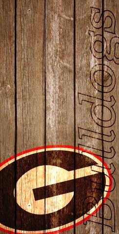 NCAA Wood Slat (Georgia Bulldogs) Themed Custom Cornhole Board Design