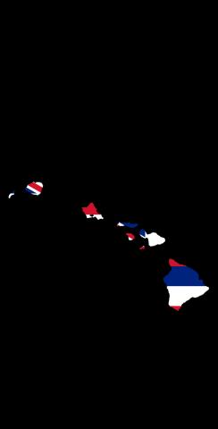 Hawaii State Flag Outline (Black Background) Themed Custom Cornhole Board Design