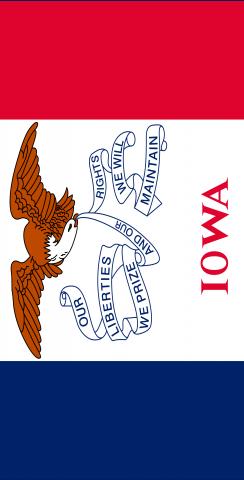 Iowa State Flag Themed Custom Cornhole Board Design