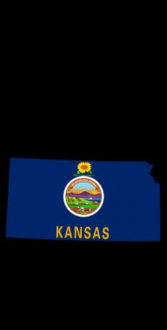 Kansas State Flag Outline (Black Background) Themed Custom Cornhole Board Design