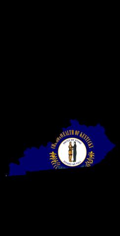Kentucky State Flag Outline (Black Background) Themed Custom Cornhole Board Design