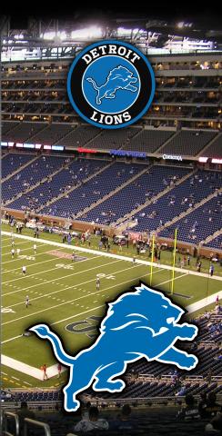 NFL Stadium (Detroit Lions) Themed Custom Cornhole Board Design