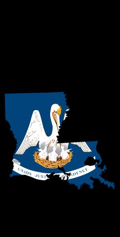 Louisiana State Flag Outline (Black Background) Themed Custom Cornhole Board Design