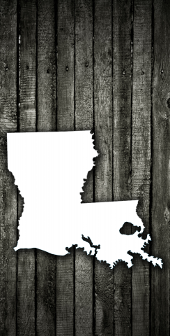 Wood Slat State (Louisiana) Themed Custom Cornhole Board Design