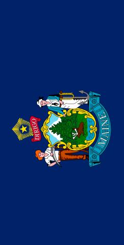 Maine State Flag Themed Custom Cornhole Board Design