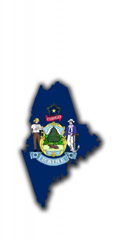 Maine State Flag Outline (White Background) Themed Custom Cornhole Board Design