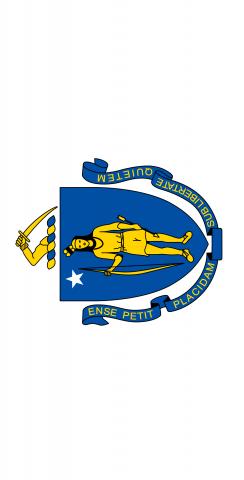 Massachusetts State Flag Themed Custom Cornhole Board Design