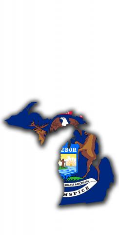 Michigan State Flag Outline (White Background) Themed Custom Cornhole Board Design