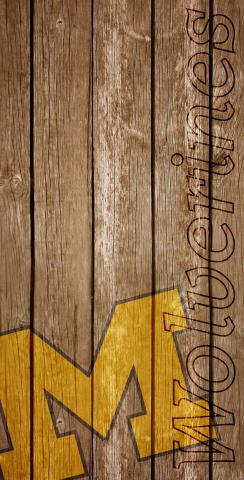 NCAA Wood Slat (Michigan Wolverines) Themed Custom Cornhole Board Design