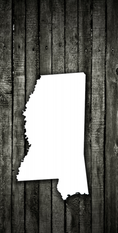 Wood Slat State (Mississippi) Themed Custom Cornhole Board Design