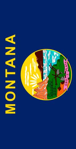 Montana State Flag Themed Custom Cornhole Board Design